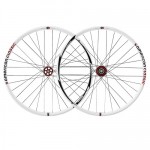 Rodas BTT American Classic 29Tubeless Eixo QR/QR Buzzsaw